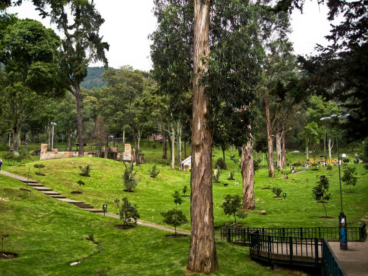 Vista panorámica de Bogotá con Monserrate al fondo